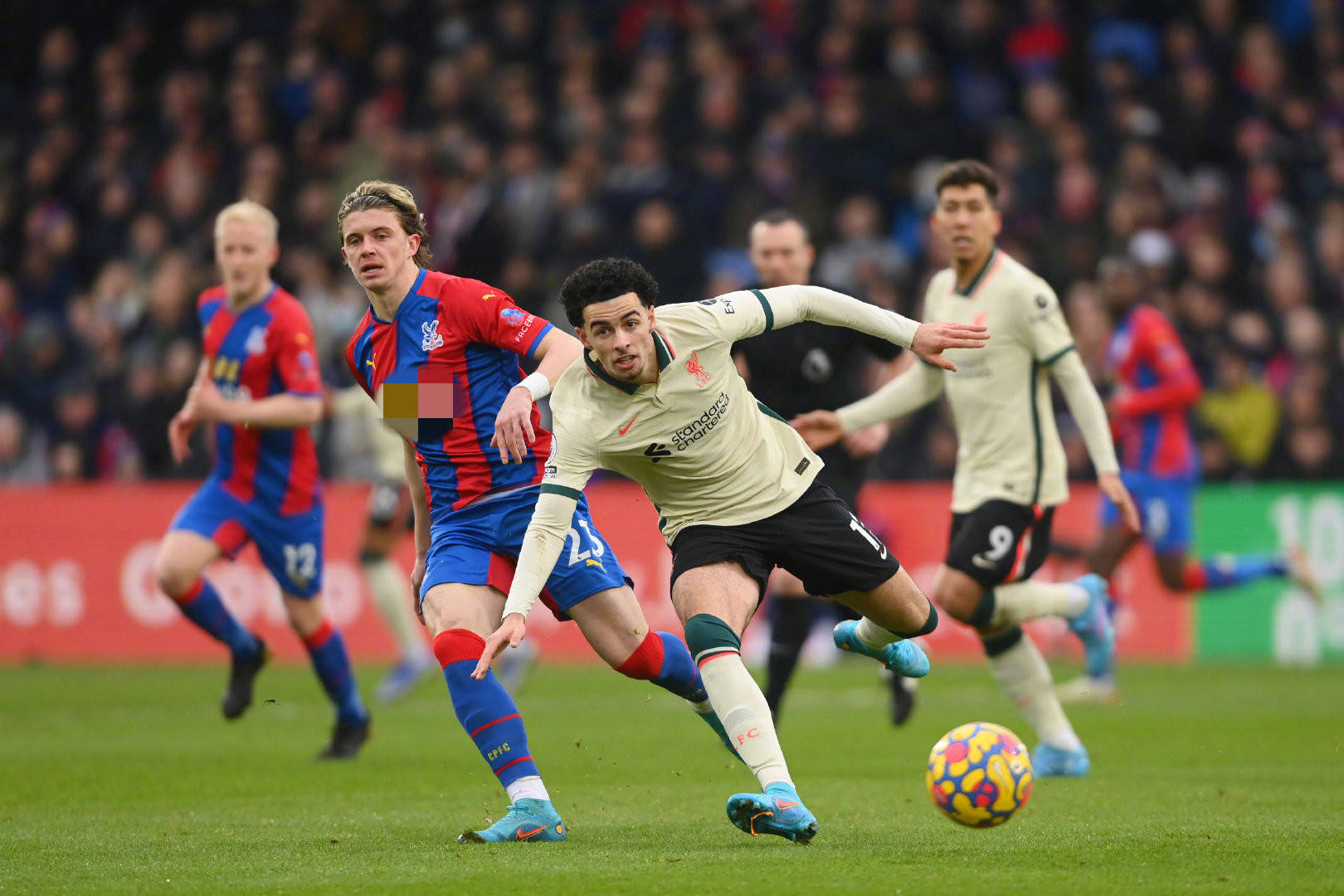 蜂队的巅峰 蜂队的巅峰